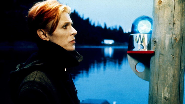 The Man Who Fell to Earth