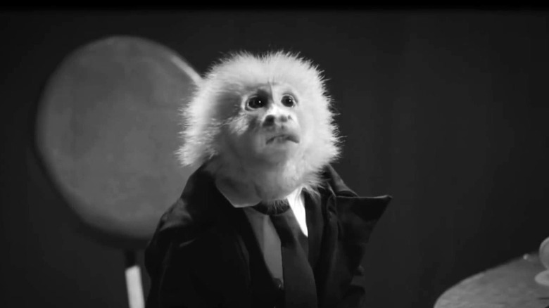 Jack Cruz the monkey being interrogated by David Lynch's detective in What Did Jack Do?