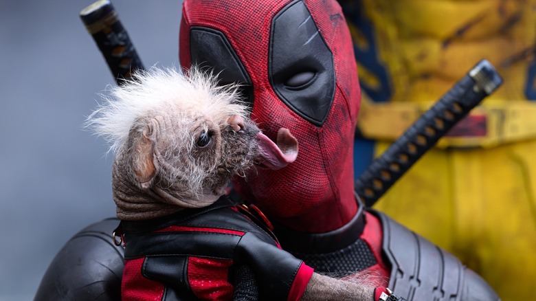 Deadpool e Wolverine Dogpool