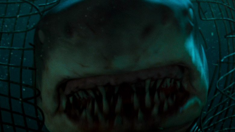 Deep Blue Sea 1999 shark 