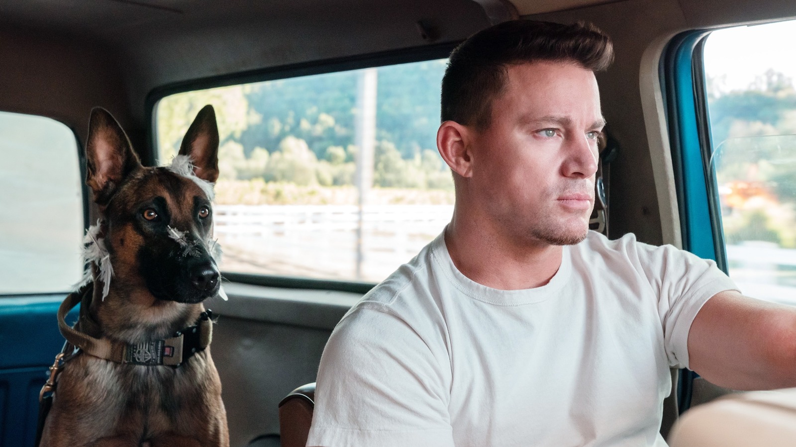 Dog Director Reid Carolin Says Working With Animals Taught Him A ...