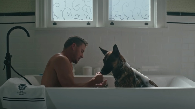 Still from Dog