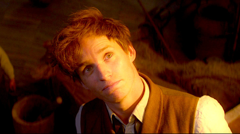 Newt Scamander stares up into the sky