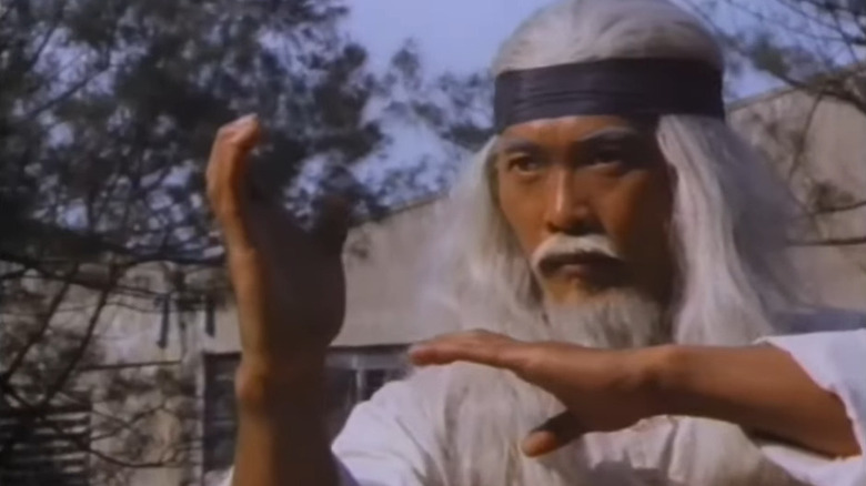 A white-haired kung-fu master in the 1988 film Future Hunters.