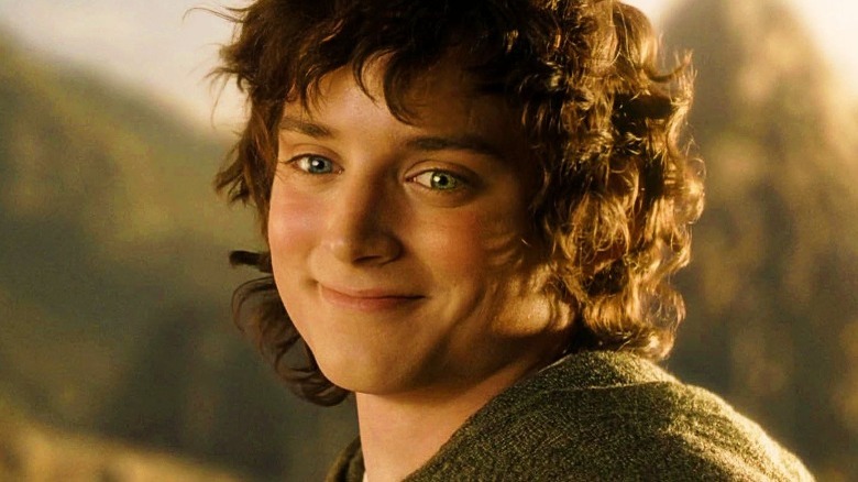 Elijah Wood as Frodo Baggins in Lord of the Rings