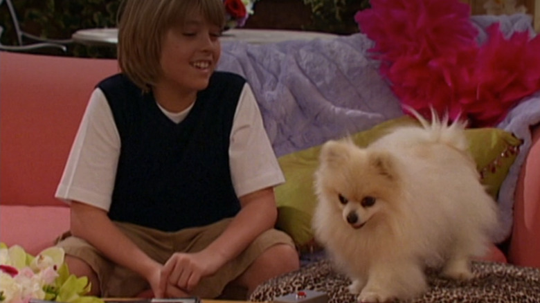 Cole Sprouse as Cody and Ivana the dog on The Suite Life of Zack and Cody