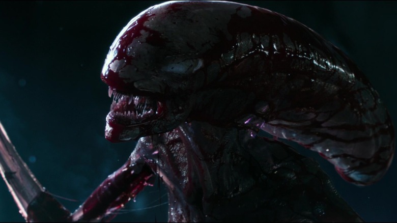 Baby Xenomorph close-up from Alien: Covenant 