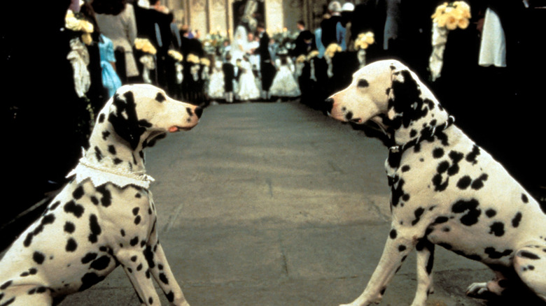 Pongo and Perdita at the wedding of Roger and Anita in 101 Dalmatians