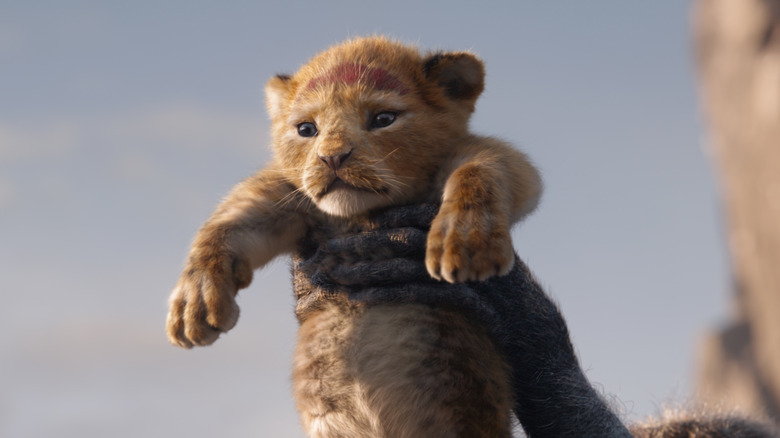 Baby Simba lifted in the air in The Lion King