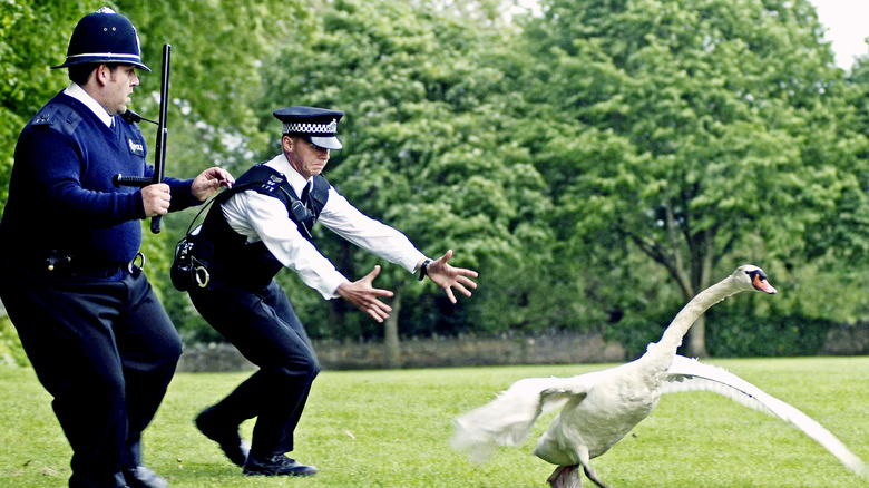 Nick Frost and Simon Pegg try to catch goose in Hot Fuzz