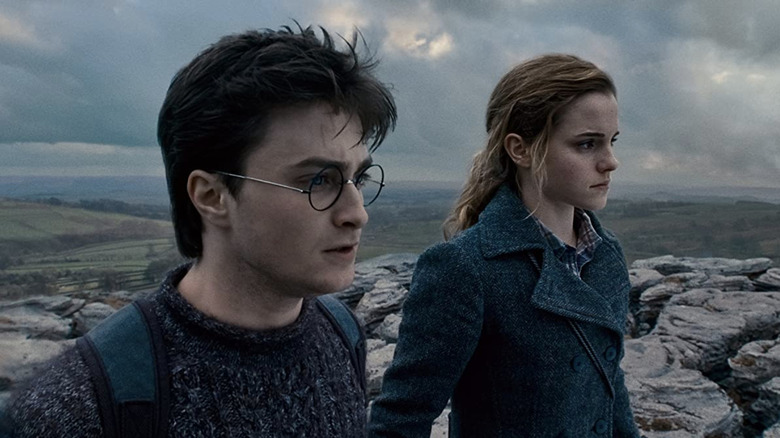 Harry and Hermione standing on a rock outcrop