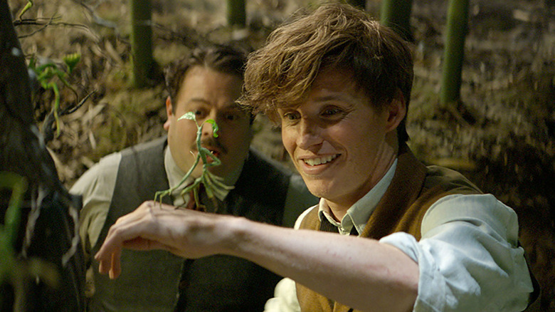 Newt Scamander with magical creature