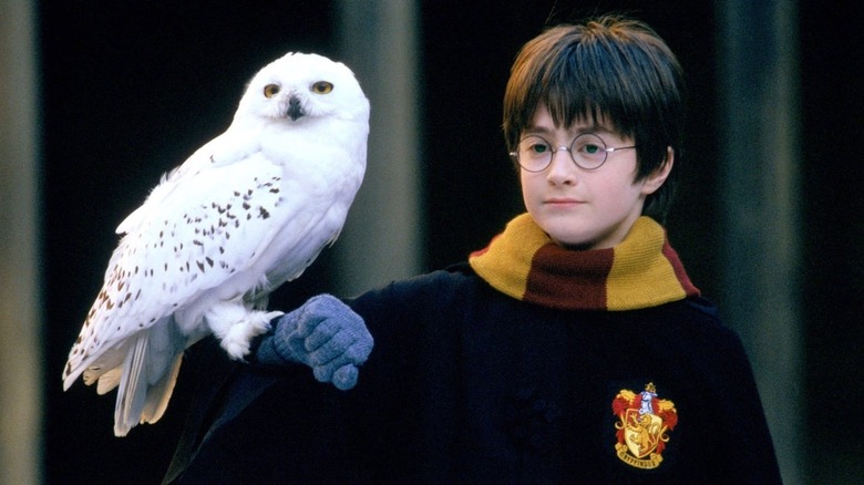 Harry Potter and Hedwig