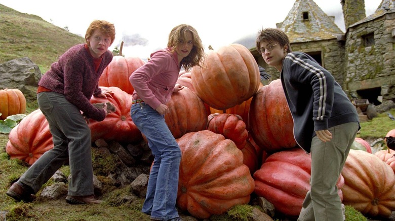 Ron, Hermione and Harry with pumpkins