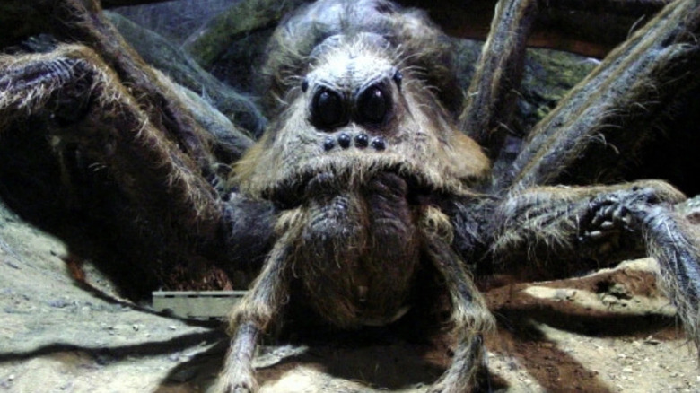 giant hairy spider creepy