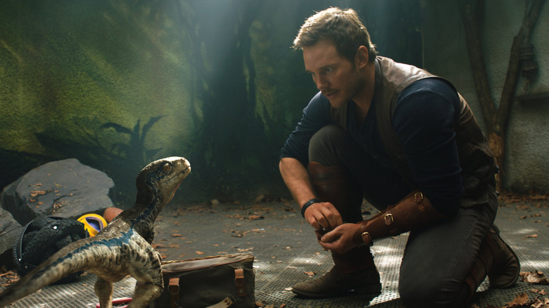 Chris Pratt and raptor