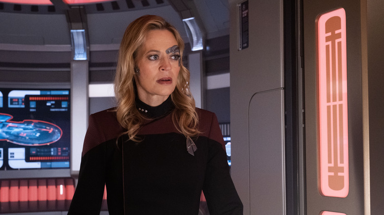 Jeri Ryan as Seven