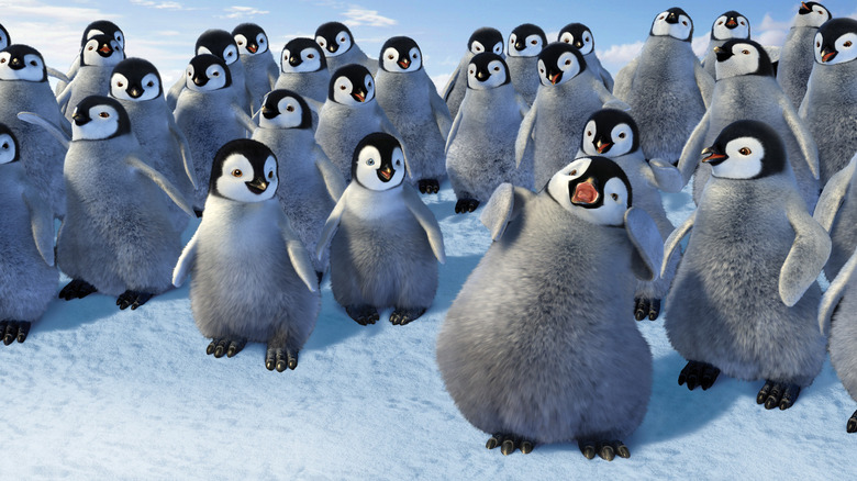 Mumble, Gloria, and their class of young penguins watch Seymour rap in Happy Feet