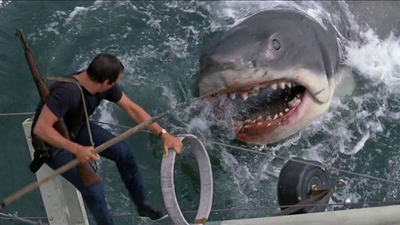 Jaws Roy Scheider Shark Brody