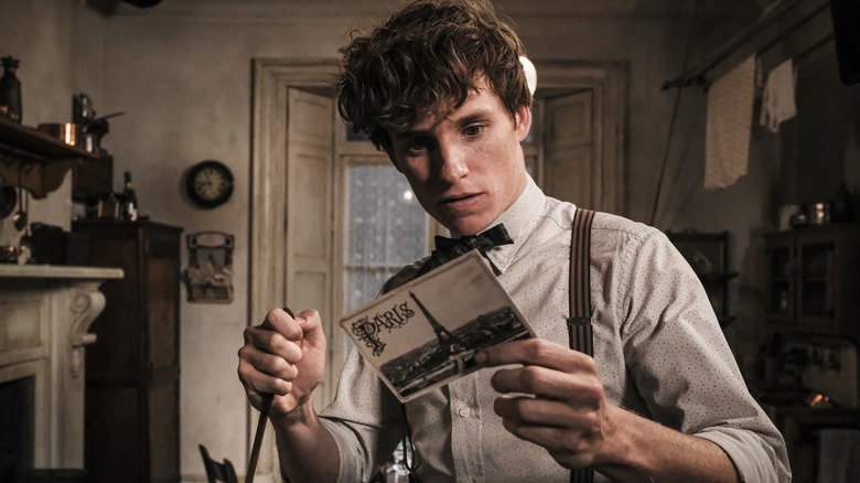 Fantastic Beasts Newt