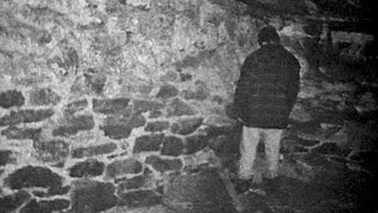 Filming The Blair Witch Project Was More Bizarre Than You Probably Realized 0249
