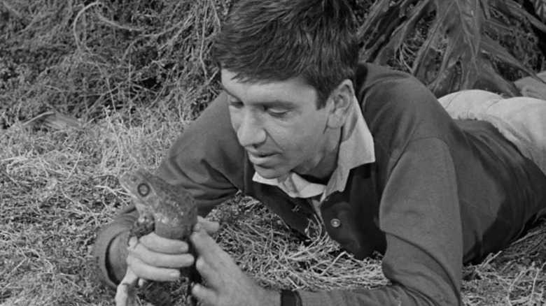 Bob Denver, Ilha de Gilligan