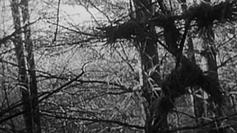 witch totem in woods the blair witch 