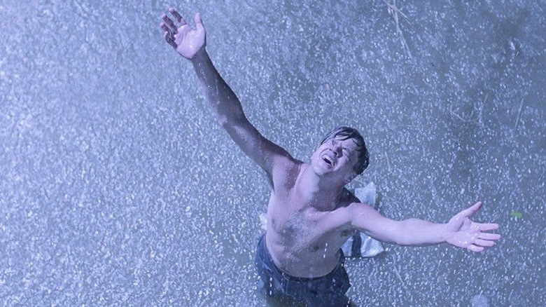 The Shawshank Redemption Andy lifting his hands to the air in the rain