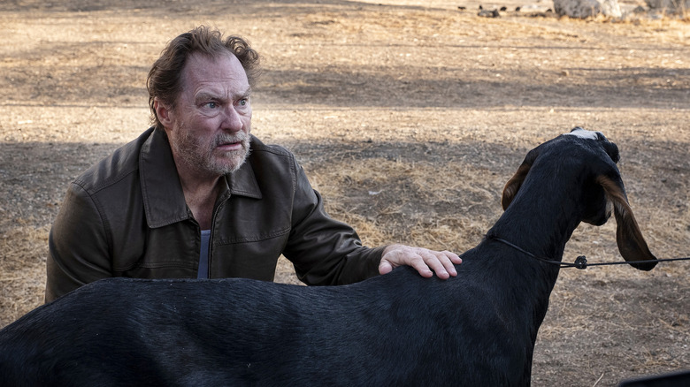 Stephen Root