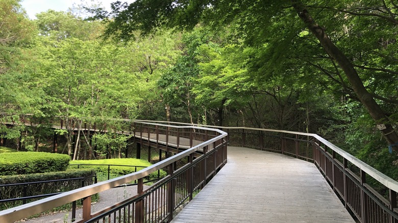 Ghibli Moricoro Park Dondoko Forest
