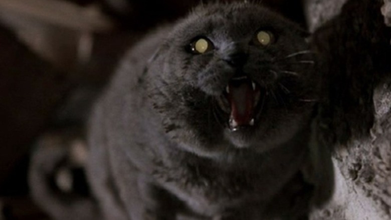 Pet Sematary