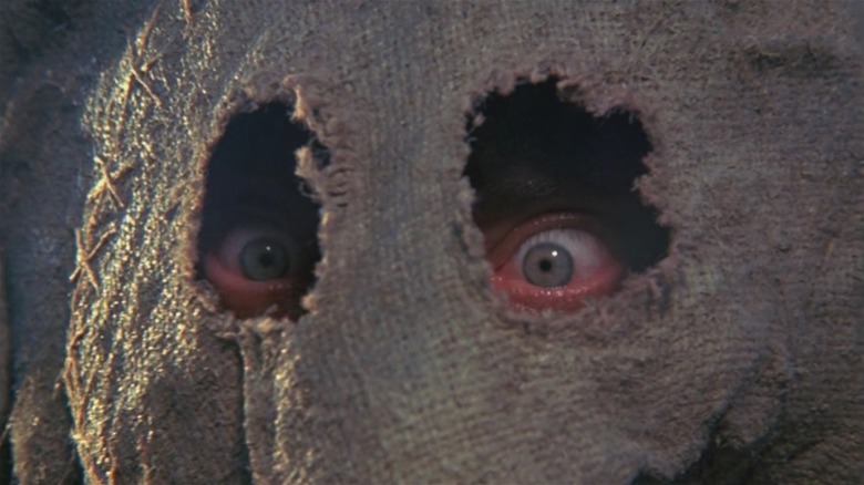 Bubba's eyes behind a burlap sack in Dark Night of the Scarecrow