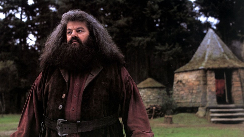 Harry Potter Robbie Coltrane