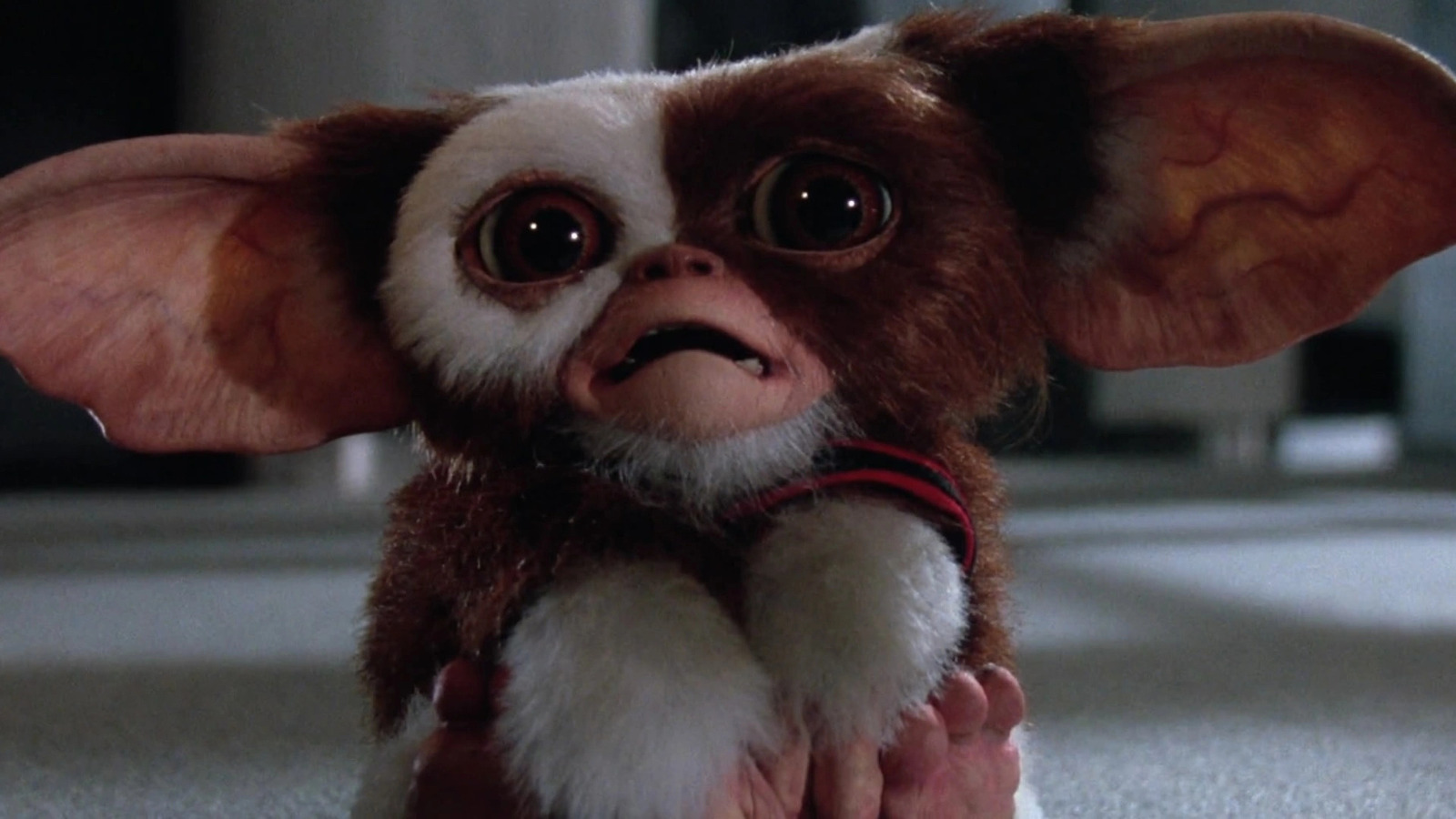 HBO Max 2022 Preview Video Includes Tiny First Look at Gremlins: Secrets  of the Mogwai [Video] - Bloody Disgusting
