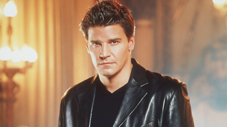 David Boreanaz as Angel