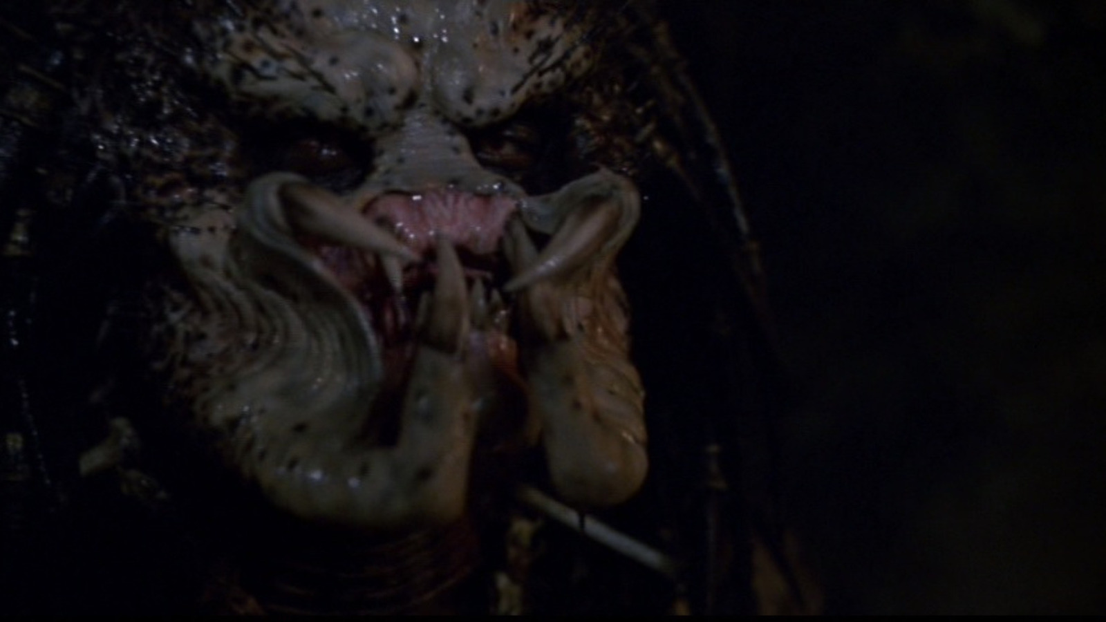 Here's Where You Can Stream Or Rent Every Predator Movie