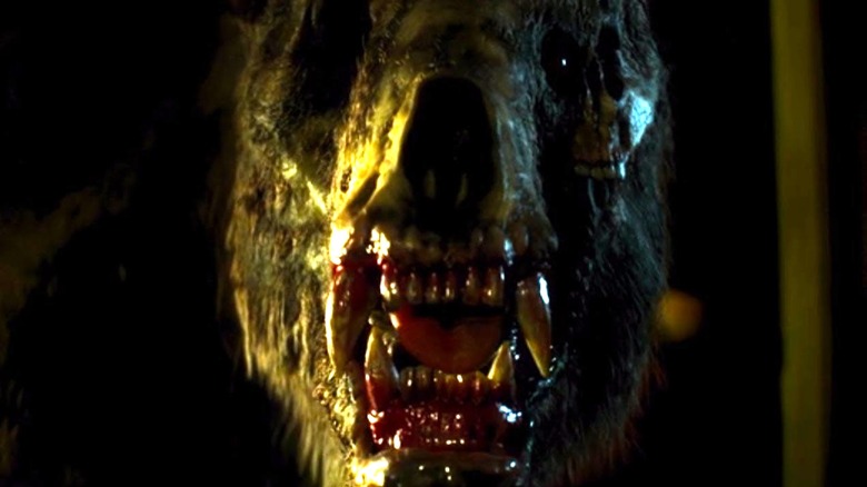 A mutated bear, face forward in Annihilation