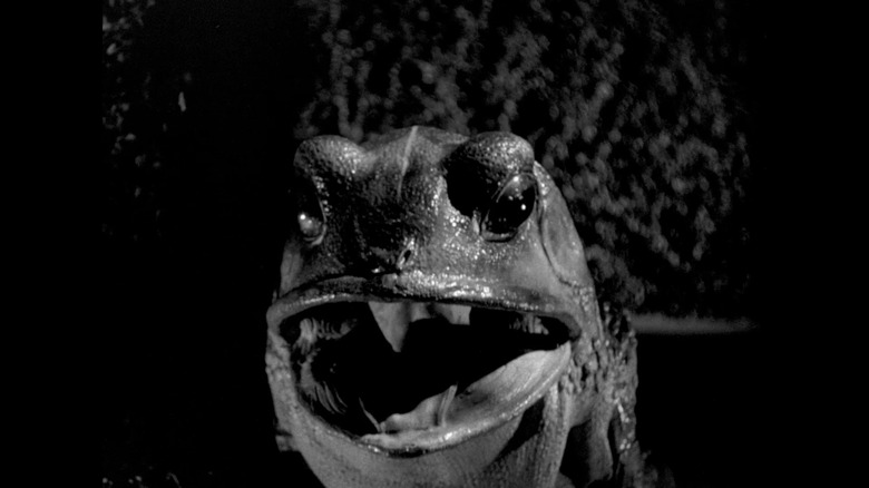 Frog monster from "The Maze"