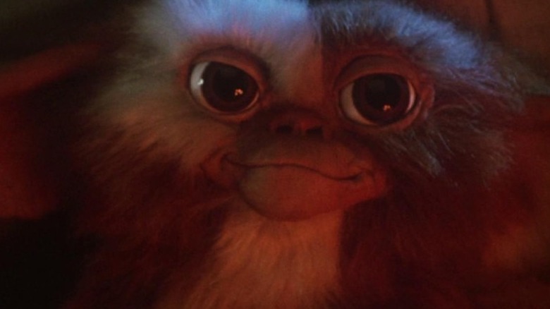 gizmo gremlin