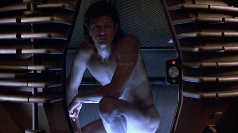 jeff goldblum fly pod