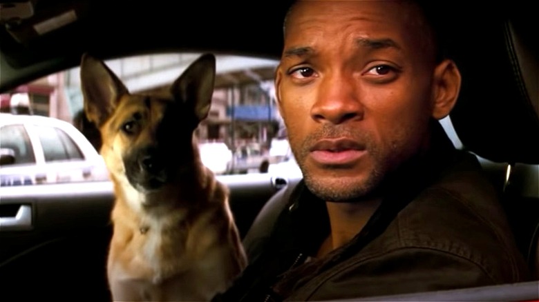 Will Smith in car with a German shepherd