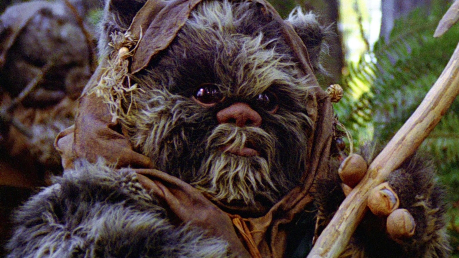 Ewok Jedi