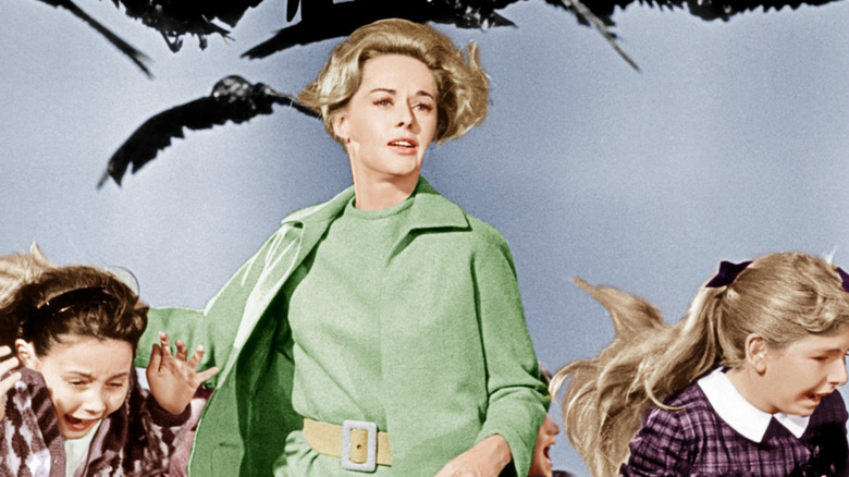 Tippi Hedren stars in The Birds (1963)