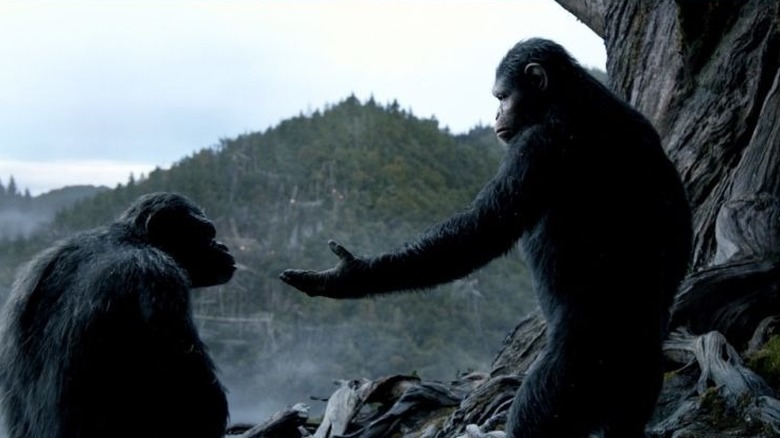 Caesar and Koba in Dawn of the Planet of the Apes