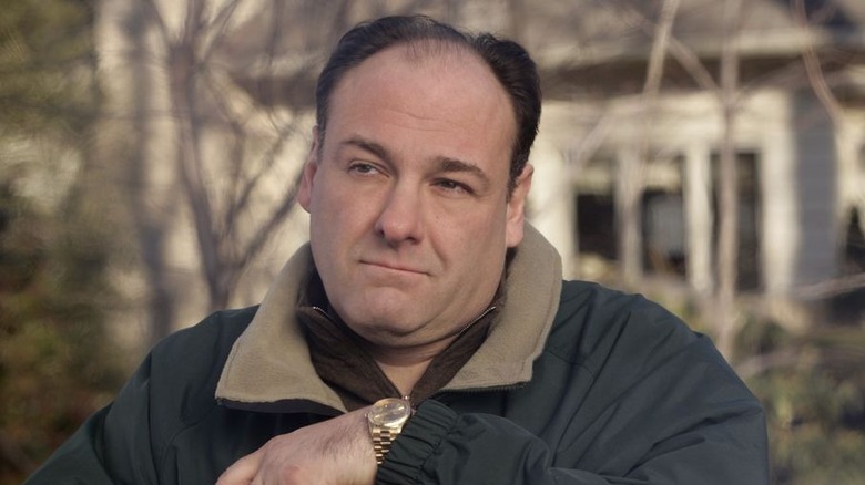 James Gandolfini in The Sopranos