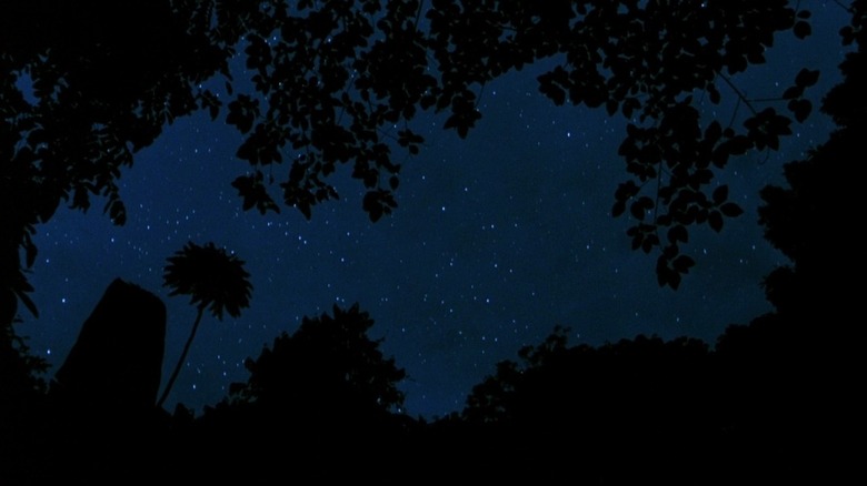 Platoon night sky forest