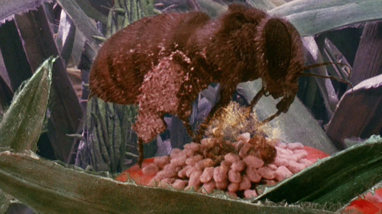 The bee in Honey, I Shrunk the Kids