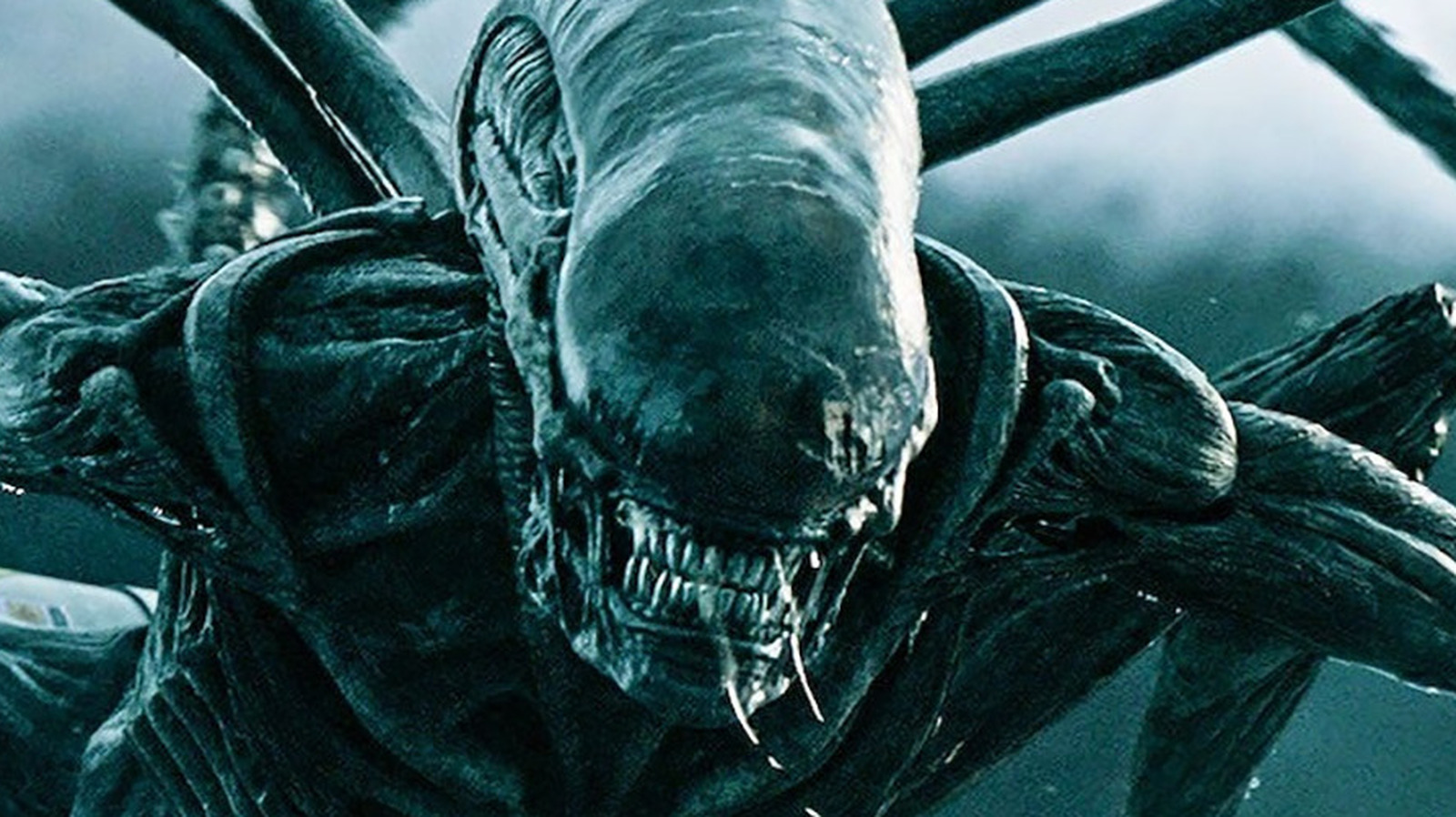 Alien Movies in Order: How to Watch Chronologically and by Release