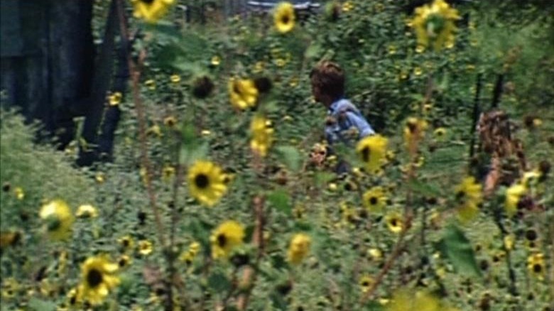 texas chain saw massacre kirk walking through sunflower field