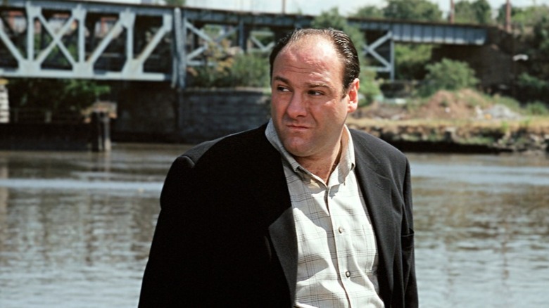 James Gandolfini in The Sopranos